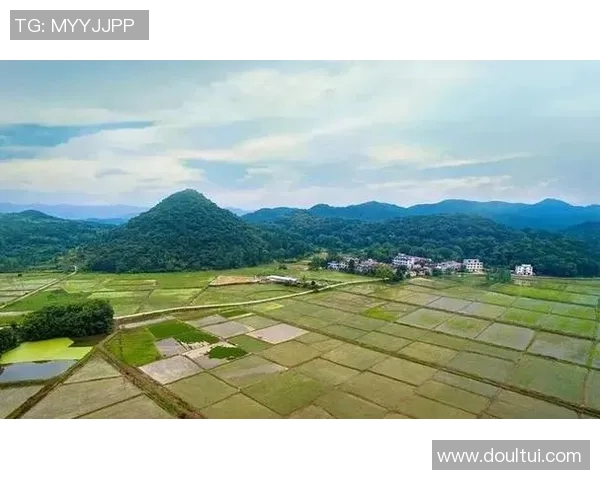 岗山绿雉与山形的生态对比探讨与保护策略研究